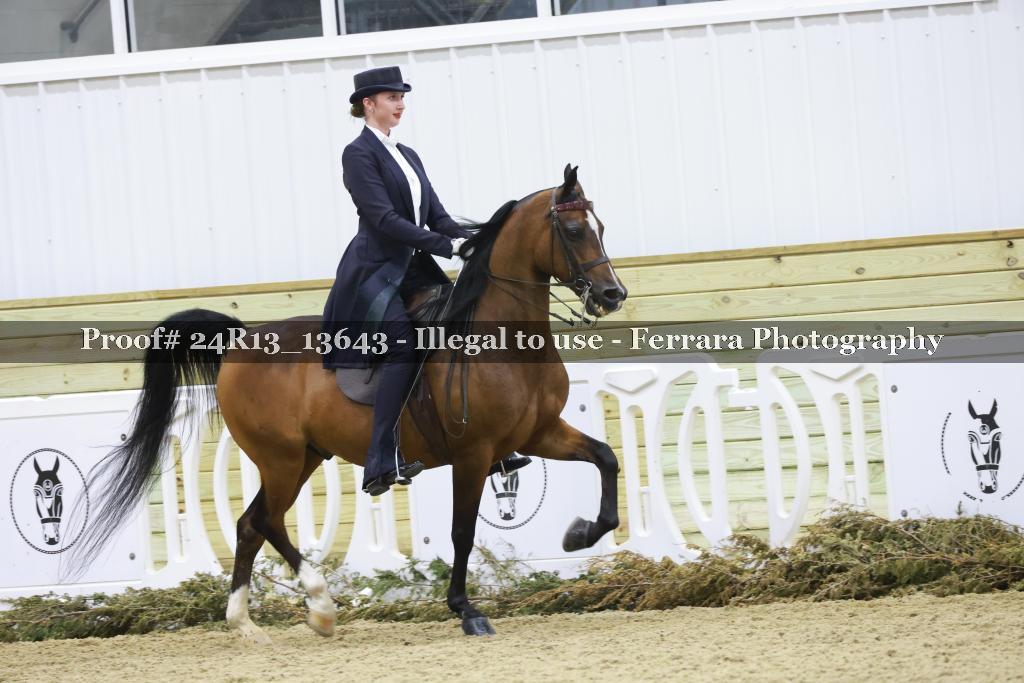 Proof 24R13_13643