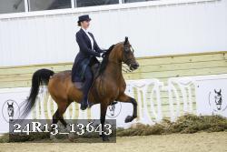 24R13_13643 proof