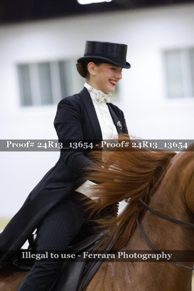 Proof 24R13_13654