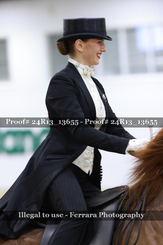 Proof 24R13_13655