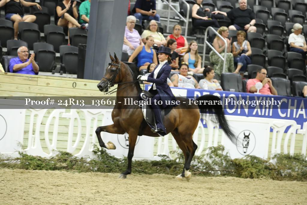 Proof 24R13_13661