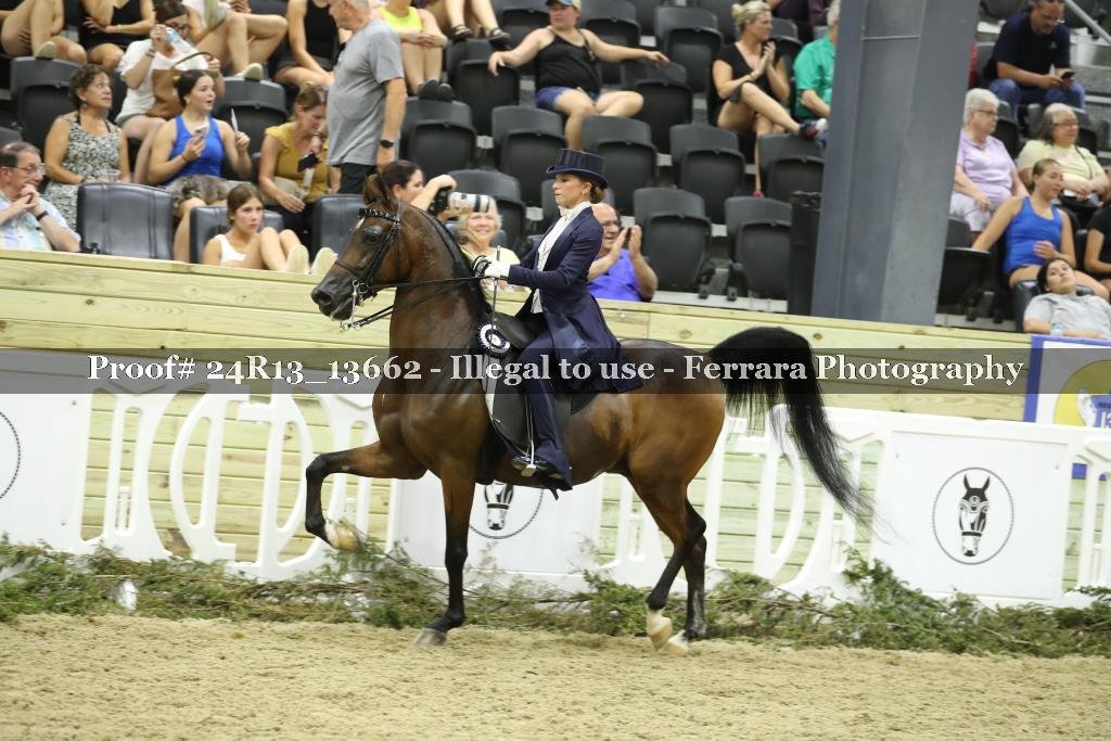 Proof 24R13_13662