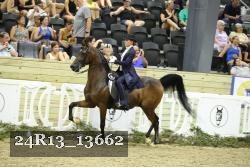 24R13_13662 proof