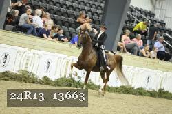 24R13_13663 proof