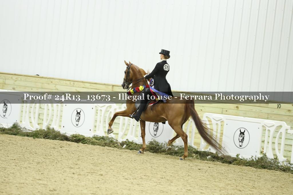 Proof 24R13_13673
