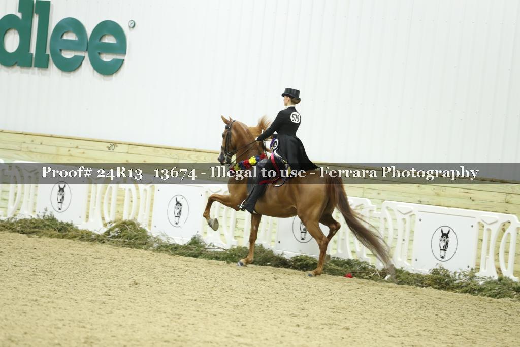 Proof 24R13_13674