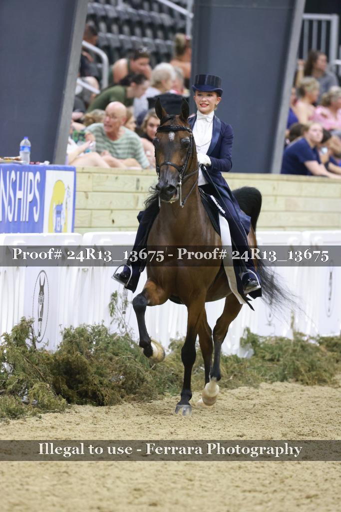 Proof 24R13_13675