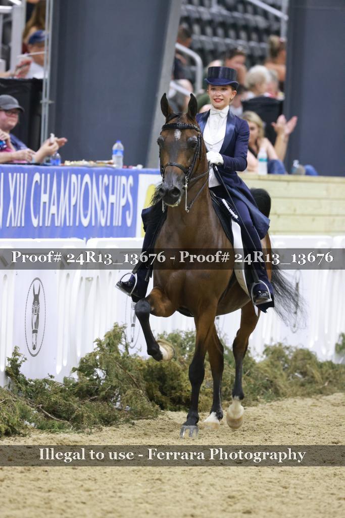 Proof 24R13_13676