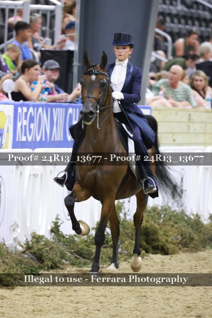 Proof 24R13_13677