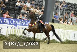 24R13_13682 proof