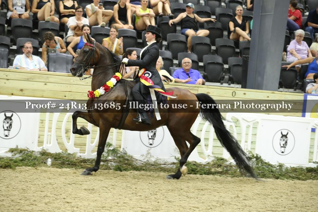 Proof 24R13_13685