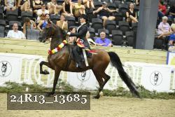 24R13_13685 proof