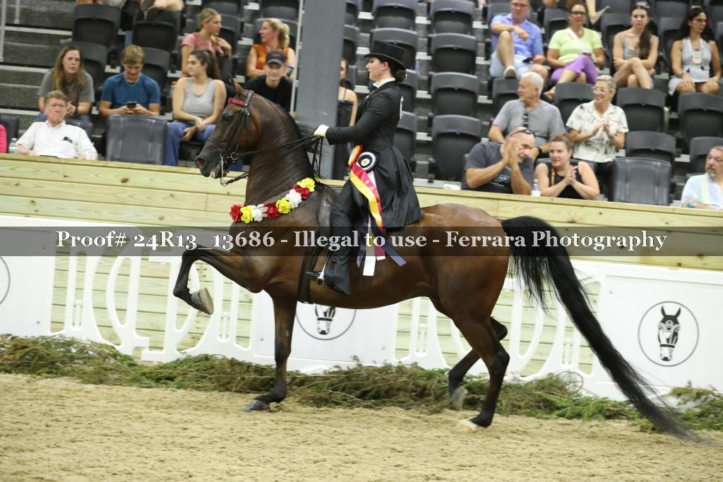 Proof 24R13_13686