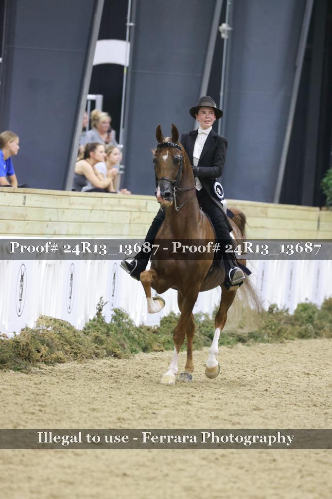Proof 24R13_13687