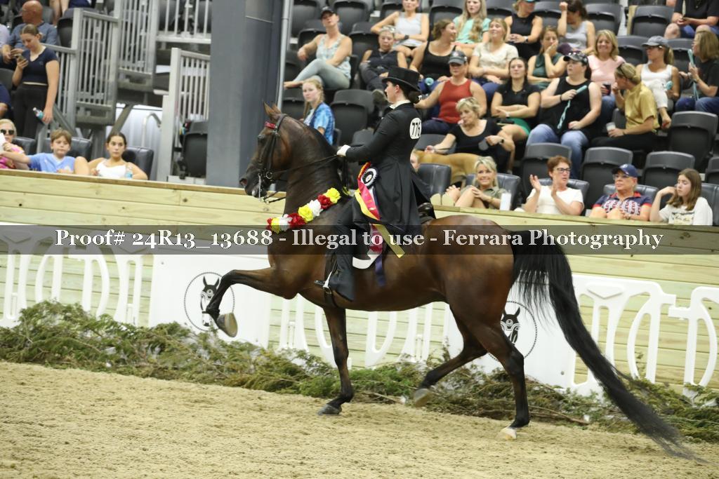Proof 24R13_13688