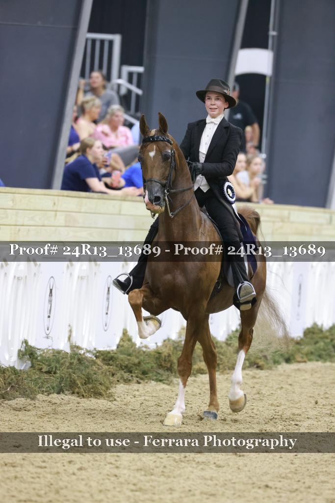 Proof 24R13_13689