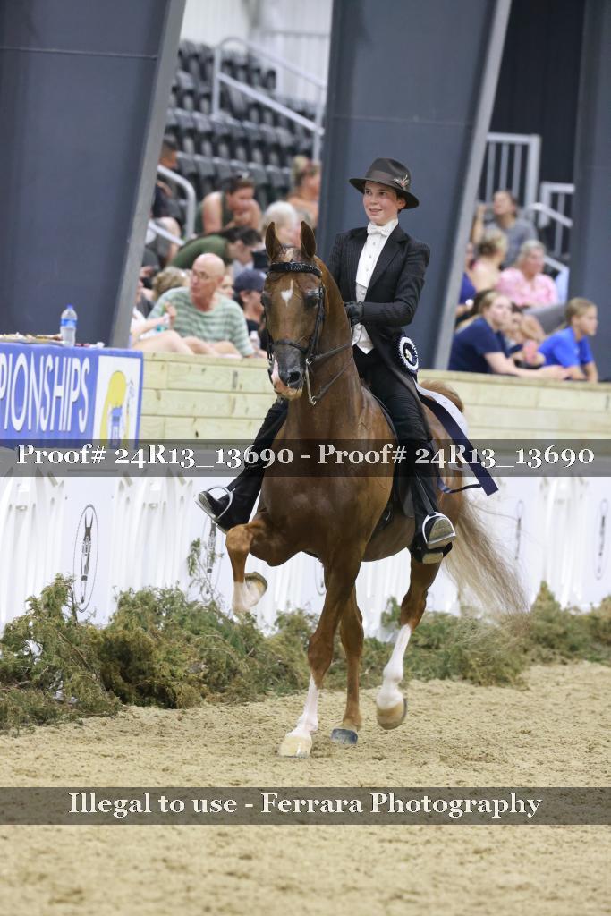 Proof 24R13_13690