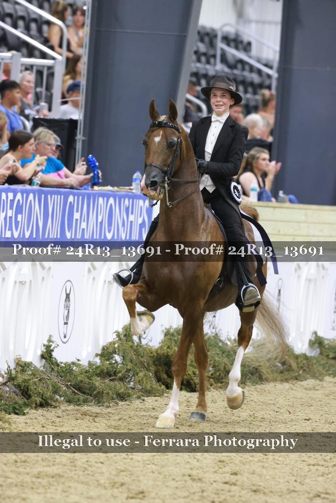Proof 24R13_13691