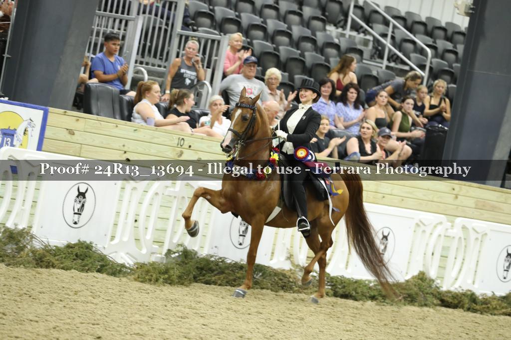 Proof 24R13_13694