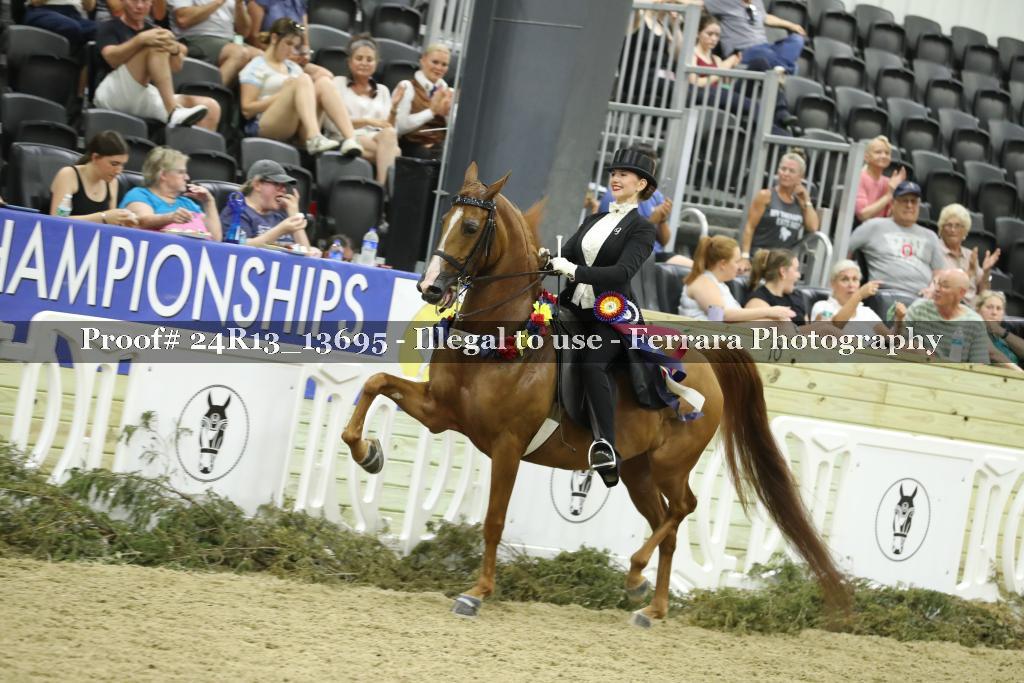 Proof 24R13_13695