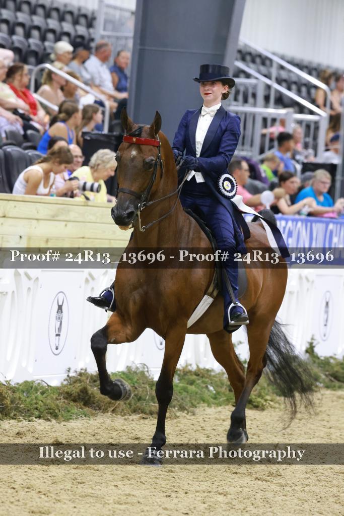 Proof 24R13_13696