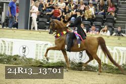 24R13_13701 proof