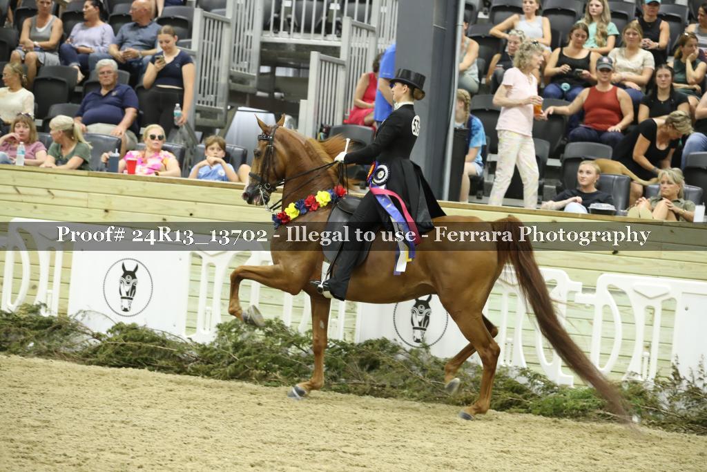 Proof 24R13_13702
