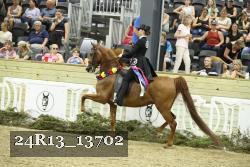 24R13_13702 proof