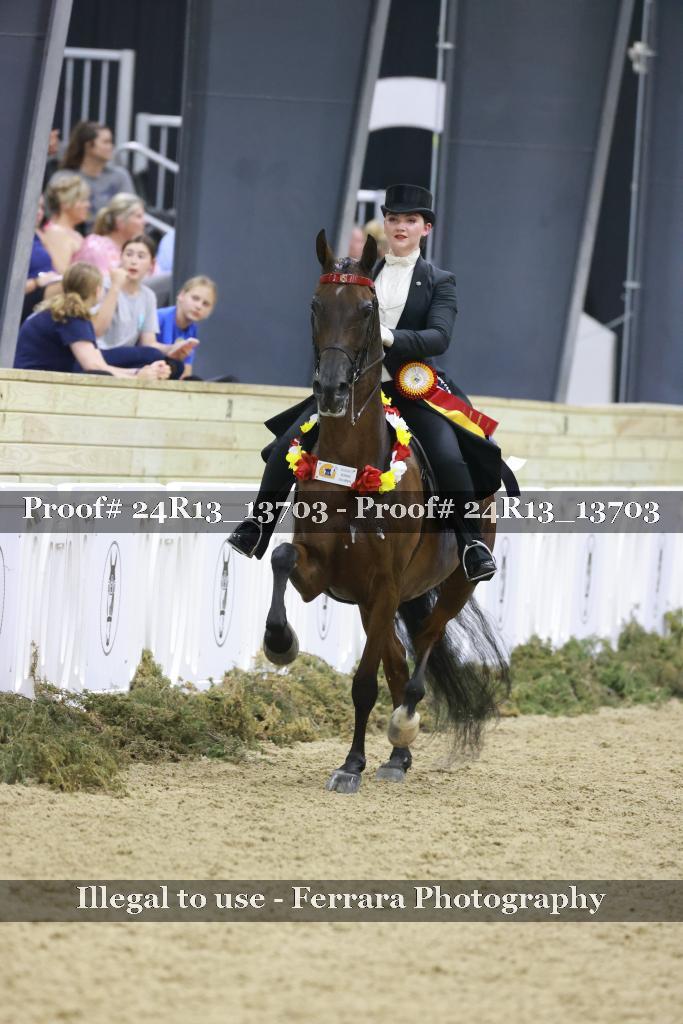 Proof 24R13_13703