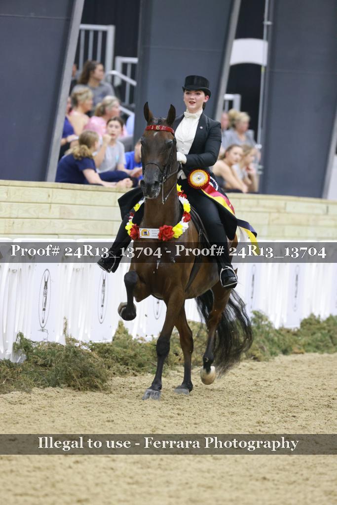 Proof 24R13_13704