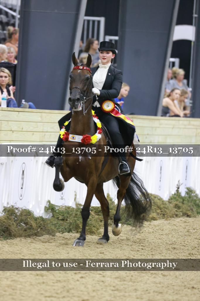 Proof 24R13_13705
