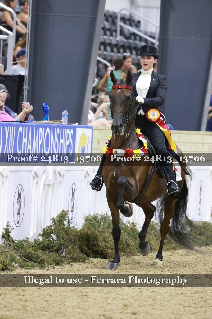 Proof 24R13_13706
