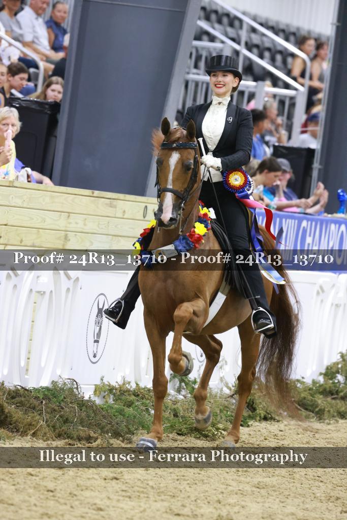 Proof 24R13_13710