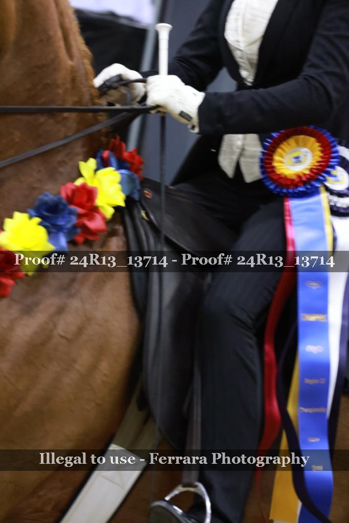 Proof 24R13_13714
