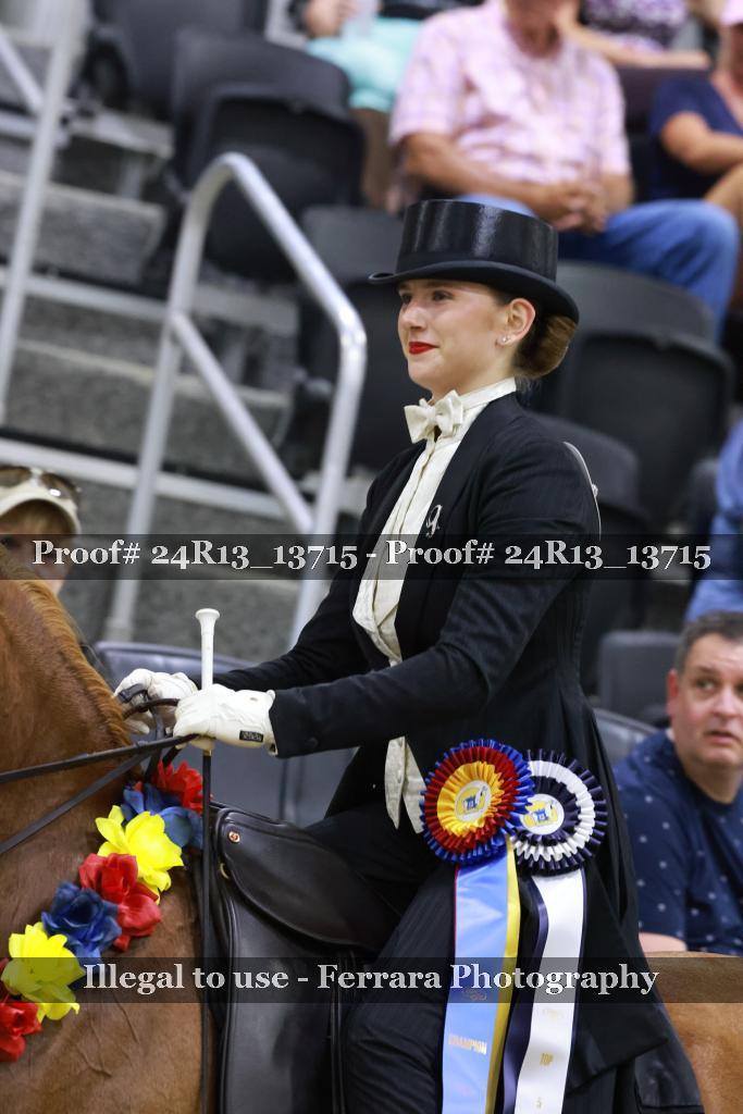 Proof 24R13_13715