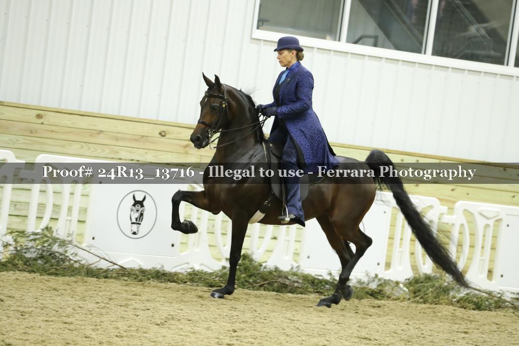 Proof 24R13_13716