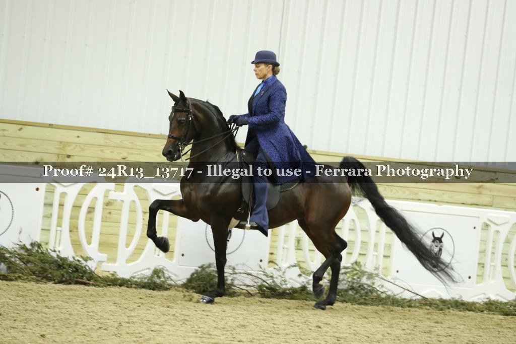 Proof 24R13_13717