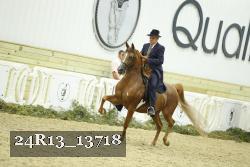 24R13_13718 proof