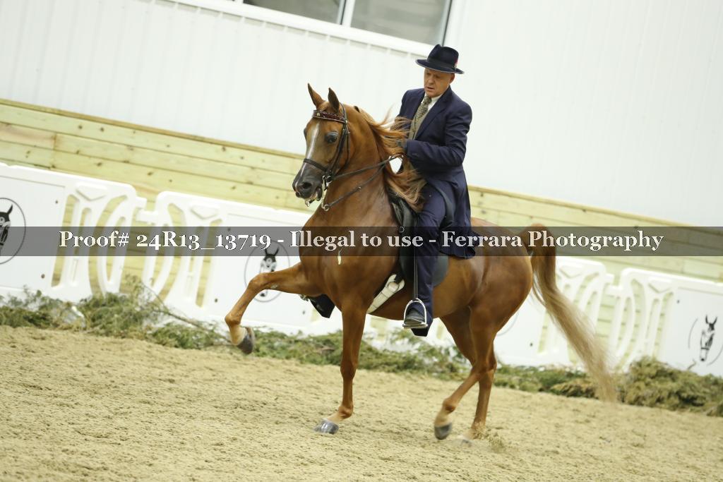 Proof 24R13_13719