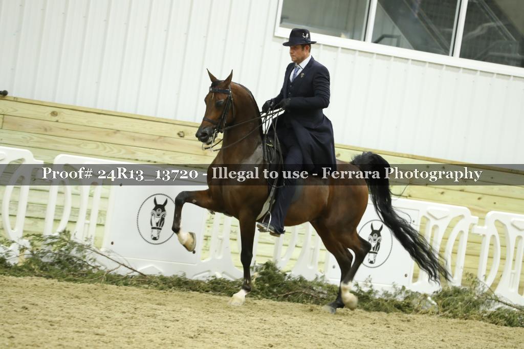 Proof 24R13_13720
