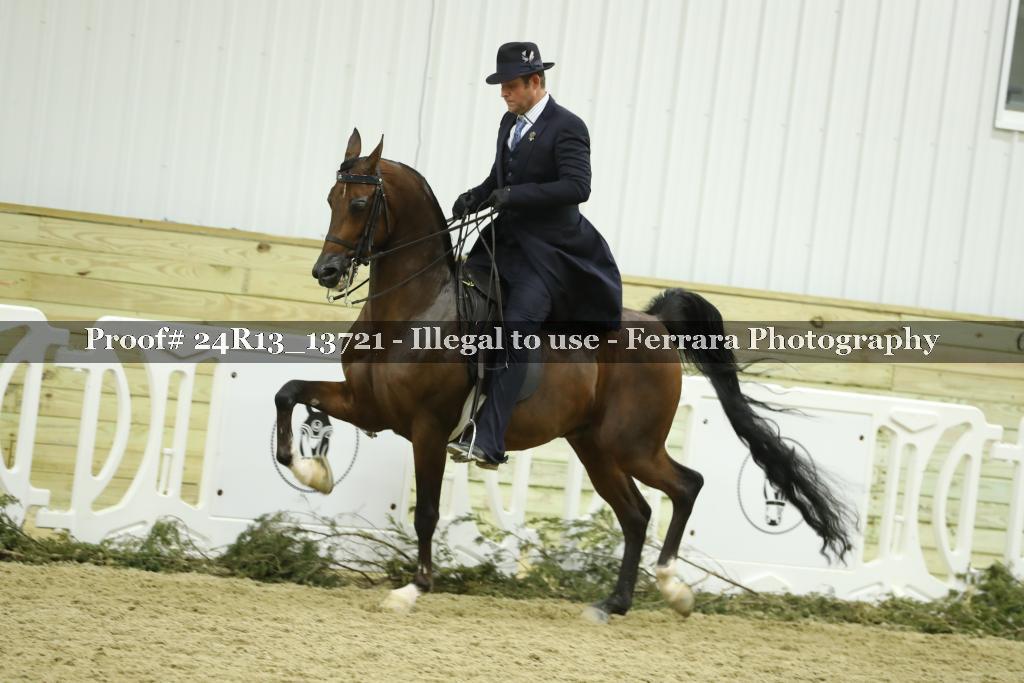Proof 24R13_13721
