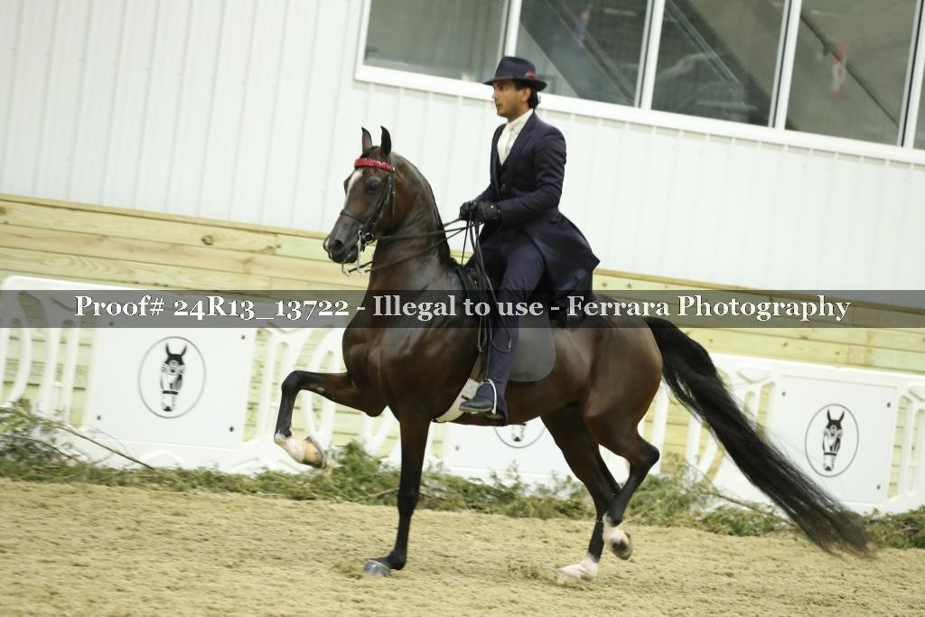 Proof 24R13_13722