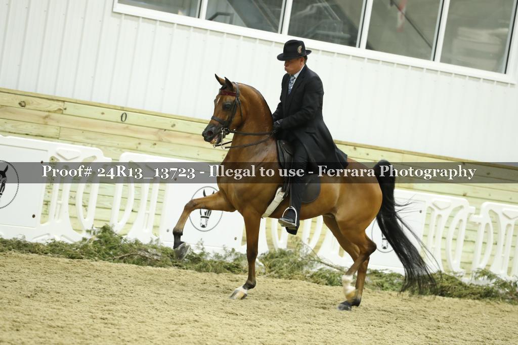 Proof 24R13_13723