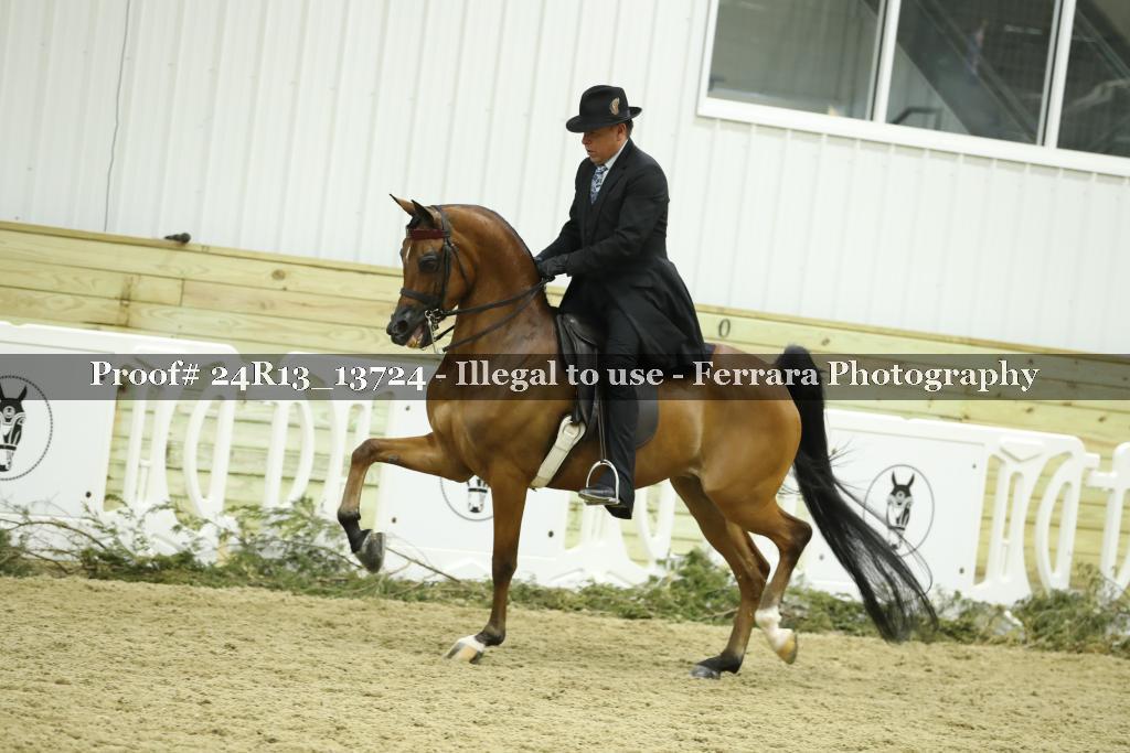 Proof 24R13_13724