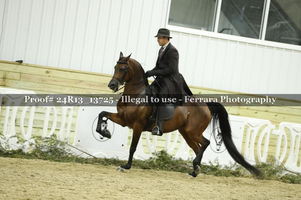 Proof 24R13_13725