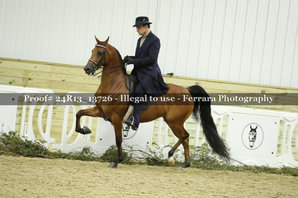 Proof 24R13_13726