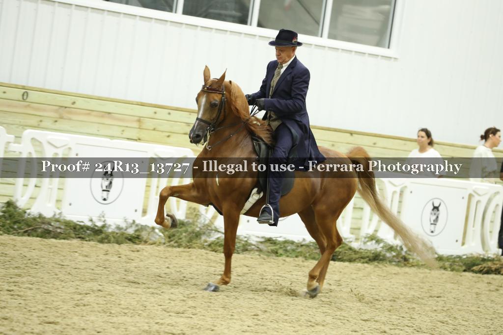 Proof 24R13_13727