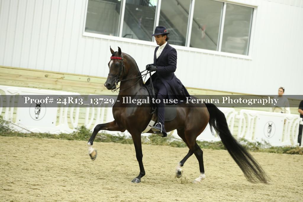 Proof 24R13_13729