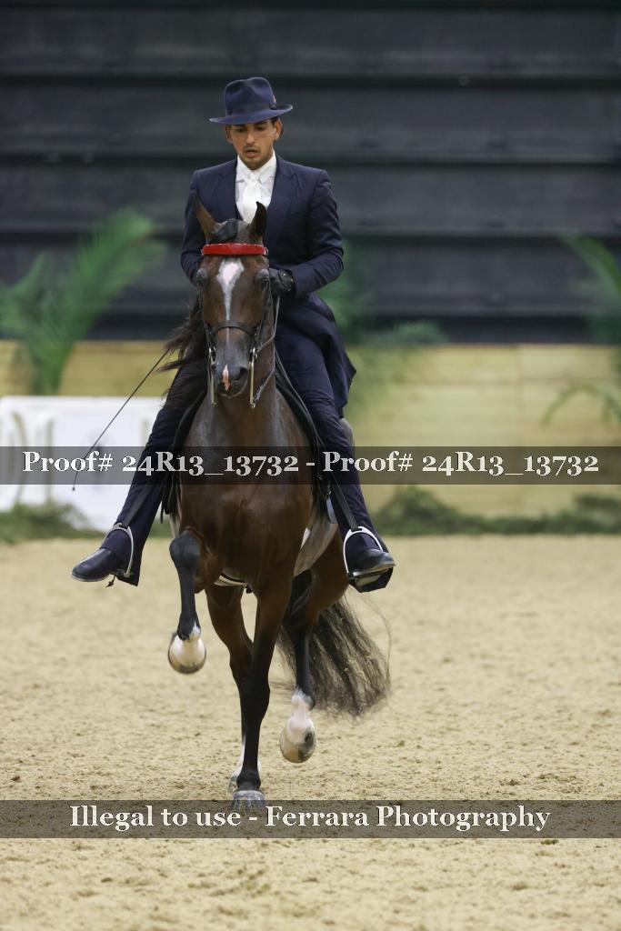 Proof 24R13_13732