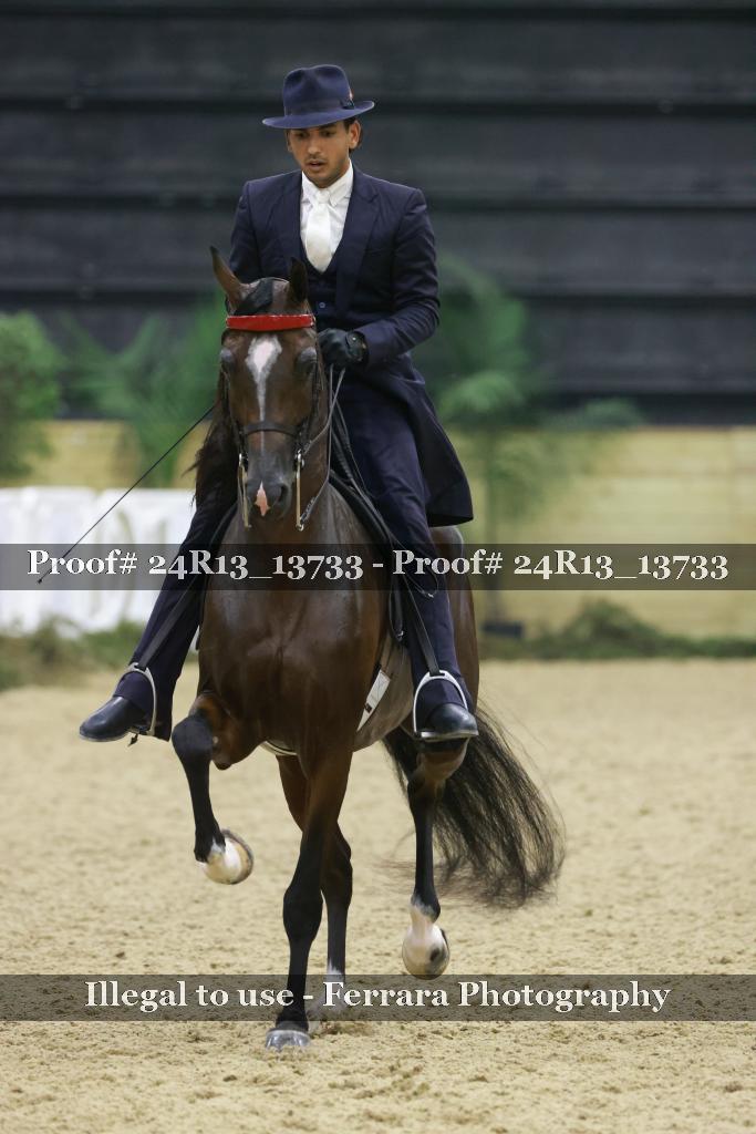 Proof 24R13_13733